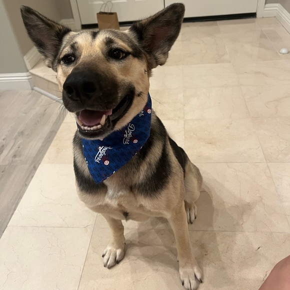 Meet your Posher, MisoLover - Picture 1 of 1